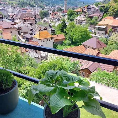Panorama 4* ترافنيك